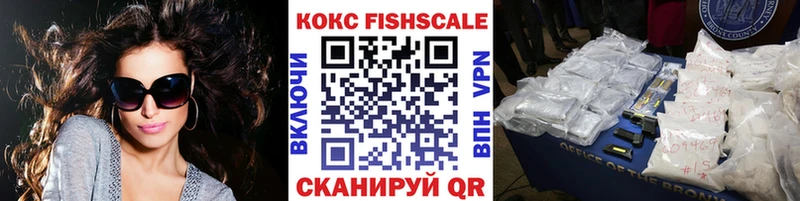 Cocaine FishScale  Купить где  Данилов 