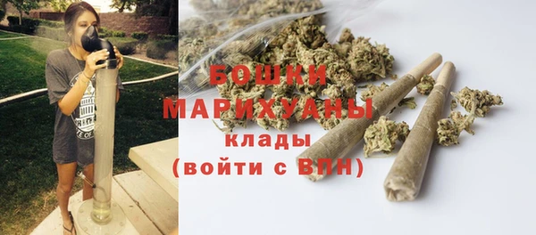 PSILOCYBIN Зеленодольск