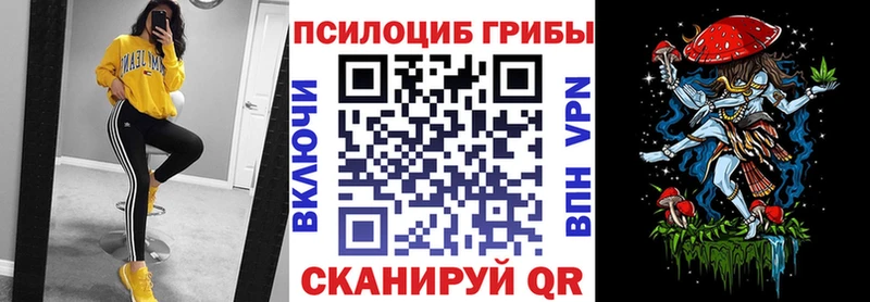 Купить где  Данилов  Галлюциногенные грибы прущие грибы 